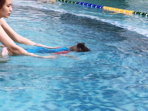 Hoa hậu Diễm Hương dạy con học bơi từ rất sớm