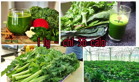 Công dụng của cải xoăn Kale