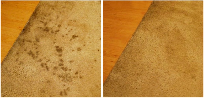 12 thủ thuật làm sạch vết bẩn cứng đầu nhất trong nhà bạn