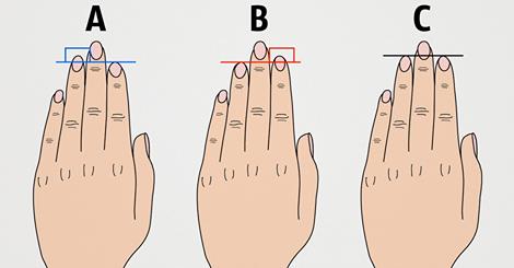Độ dài các ngón tay tiết lộ gì về tính cách của bạn 